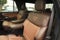 2025 Ford Expedition King Ranch