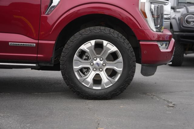 2021 Ford F-150 Platinum