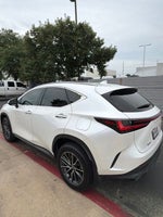 2025 Lexus NX 250 Premium