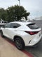 2025 Lexus NX 250 Premium