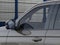 2026 Ford Expedition Tremor®