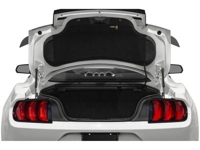 2023 Ford Mustang Mach 1