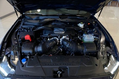 2025 Ford Mustang Dark Horse