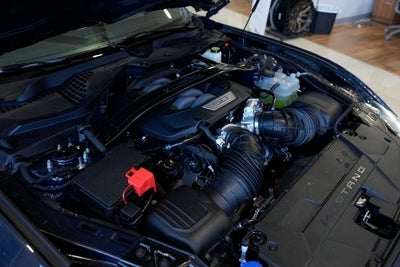 2025 Ford Mustang Dark Horse