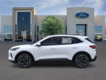 2026 Ford Escape Hybrid Platinum