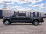 2026 Ford Super Duty F-450 DRW Platinum