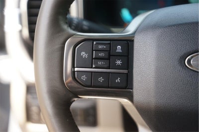 2026 Ford Super Duty F-450 Drw Platinum