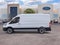 2026 Ford Transit 250