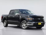 2024 Ford F150 XLT