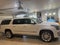 2020 Cadillac Escalade Esv Platinum