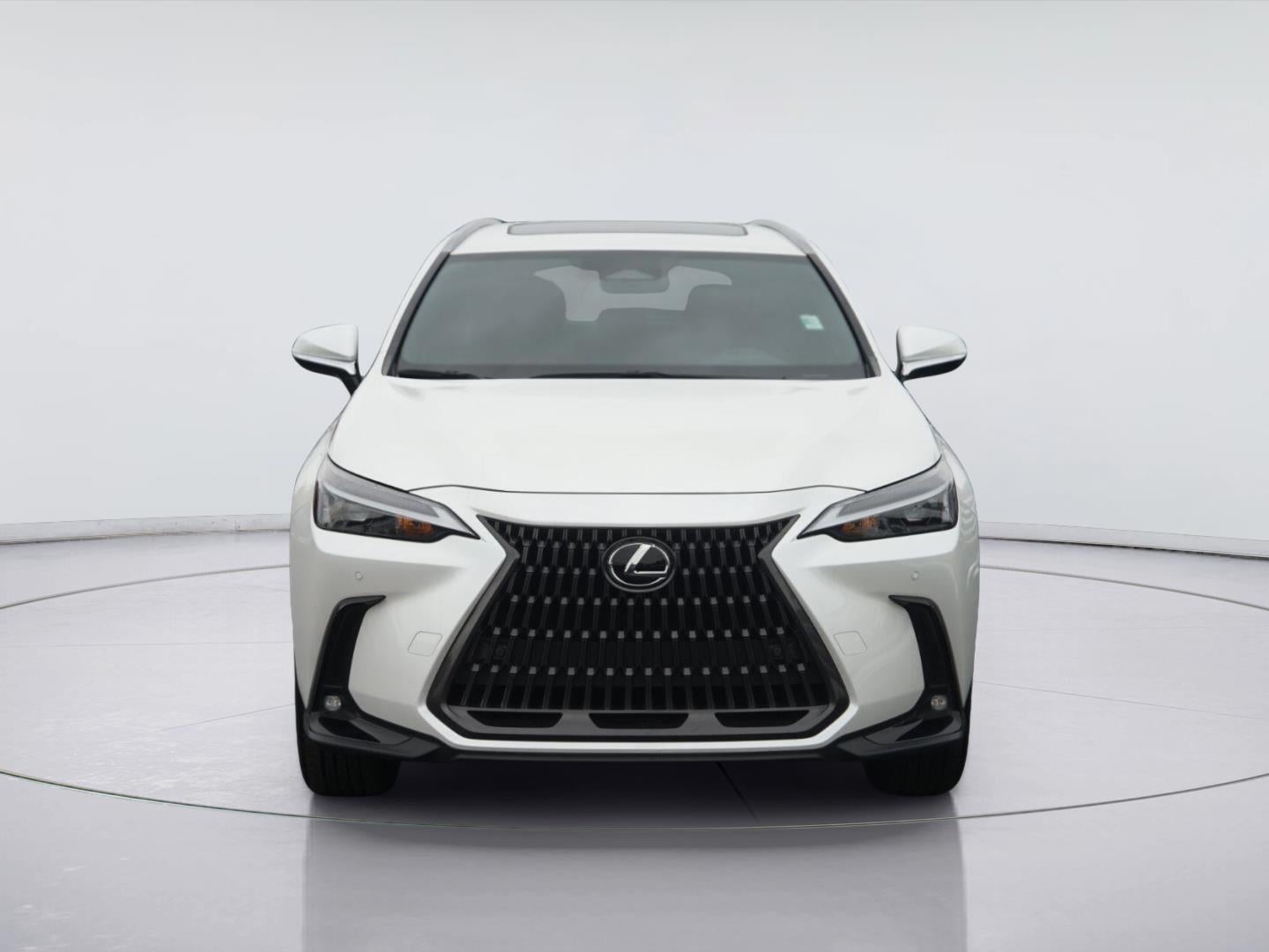 2025 Lexus NX NX 250 Premium