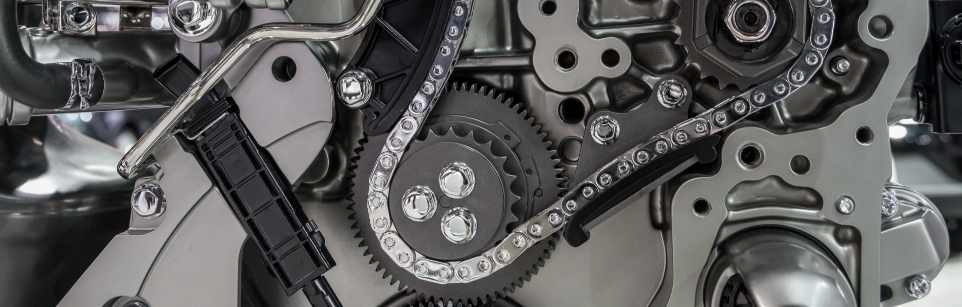 Ford Timing Chain